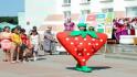 Белгородцев приглашают в «Клубничную страну»    